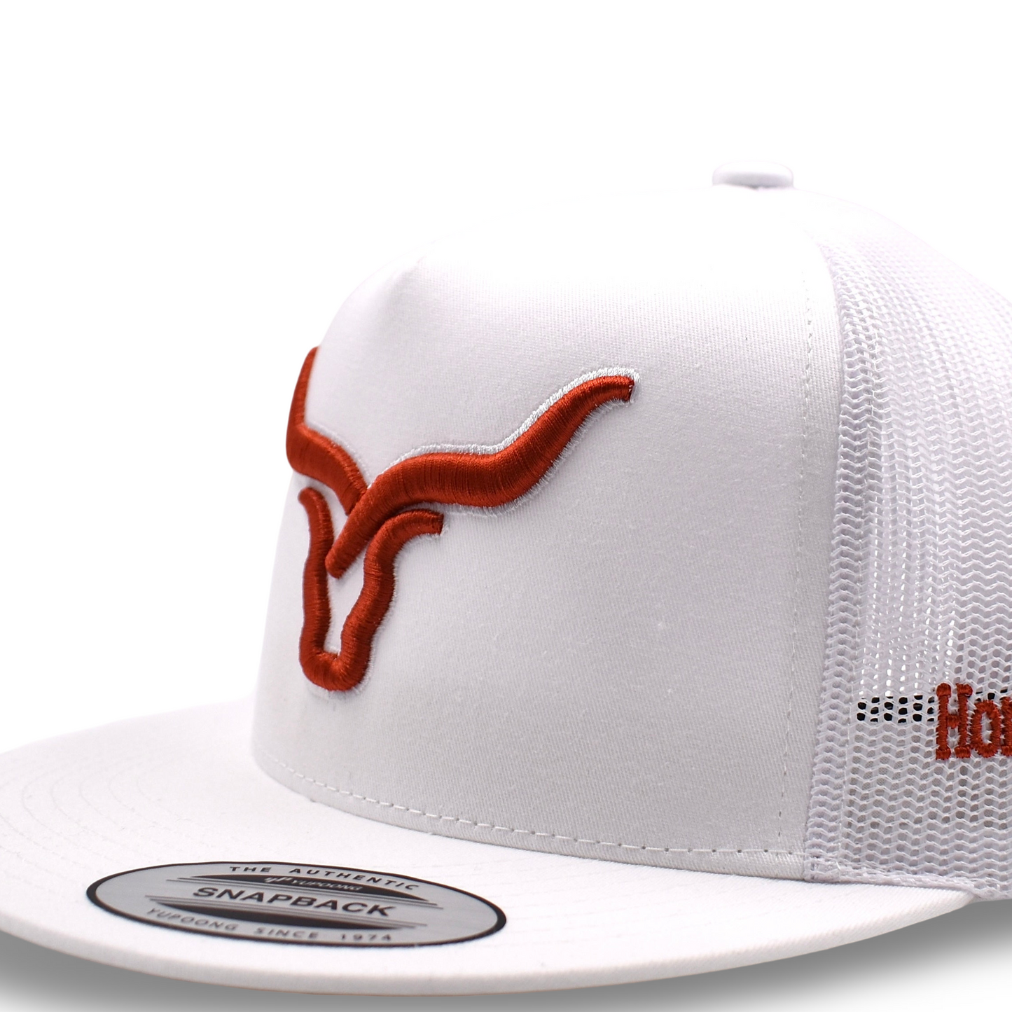 Horns And Ropes Terra Logo