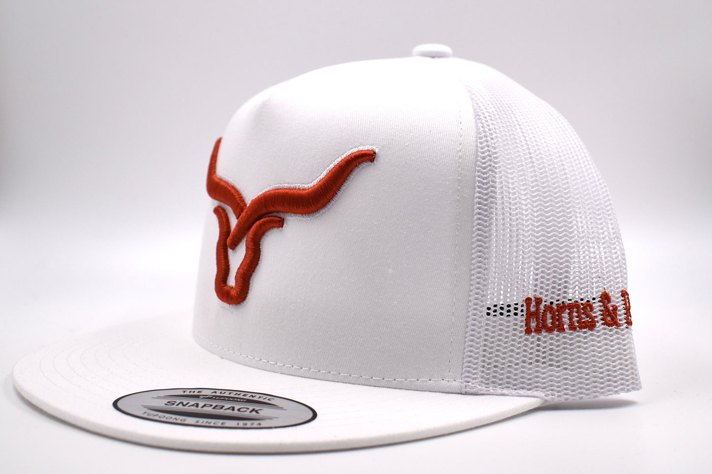 Horns And Ropes Terra Logo